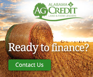 Farm Credit of TX - AL AG CRedit