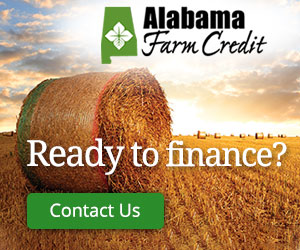 Farm Credit of TX - AL Farm Credit