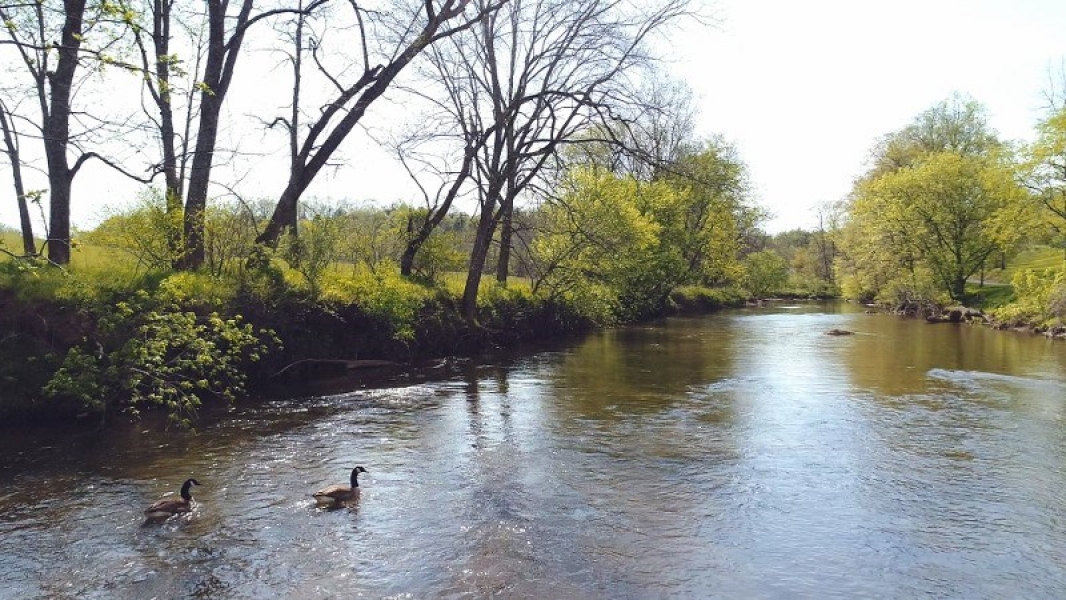 Land for Sale Moore Road, Floyd, VA 24091